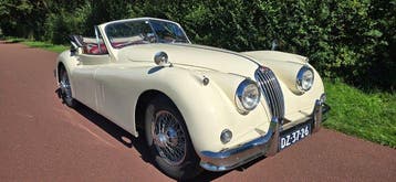 Jaguar - XK140 - DHC - 1956