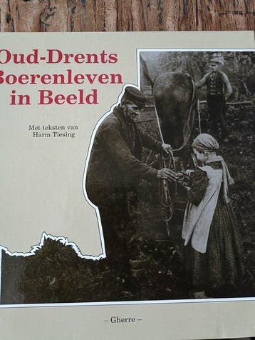 Oud-drents boerenleven in beeld - Harm Tiesing 9789072439161, Boeken, Verzenden, Gelezen, Harm Tiesing