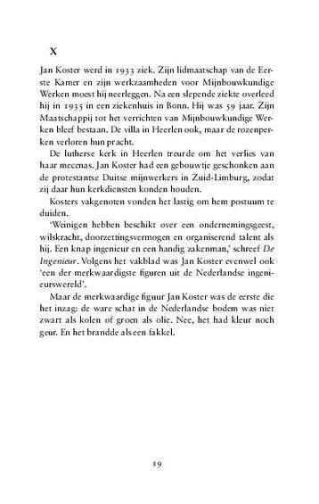 En het brandde als een fakkel 9789021342993 Emiel Hakkenes, Verzenden, Zo goed als nieuw, Emiel Hakkenes