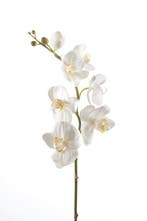 Emerald - Phalaenopsistak - Orchidee - Kunstbloem - 75 cm -, Verzenden, Nieuw