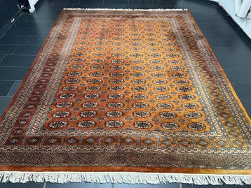 Buchara - Tapijt - 370 cm - 295 cm, Nieuw