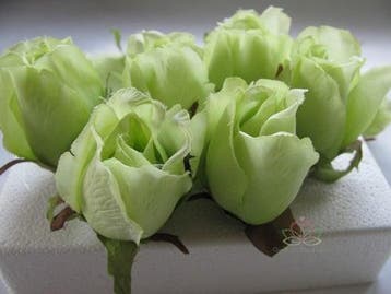 Zijden Roosjes Lichtgroen 5-6 cm 10 stuks, Ophalen of Verzenden, Nieuw