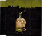 cd single - Ray Wilson - These Are The Changes, Verzenden, Zo goed als nieuw, Rock en Metal