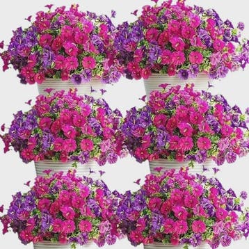Hangende Kunstbloemen Slanke Klimop - Ochtendgloren Bloemen, Verzenden, Nieuw