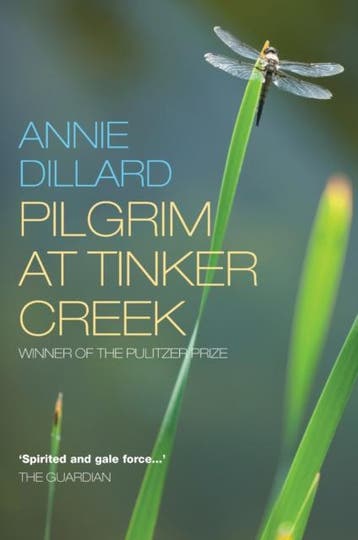 Pilgrim At Tinker Creek | Annie Dillard | Nieuw, Ophalen of Verzenden, Nieuw, Annie Dillard