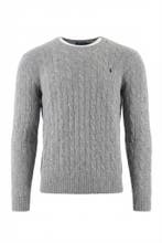 Ralph Lauren Trui in maat XL Grijs, Verzenden, Zo goed als nieuw, Overige kleuren, Ralph Lauren