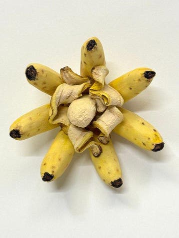 Koji Kasatani - Banana Flower, Antiek en Kunst
