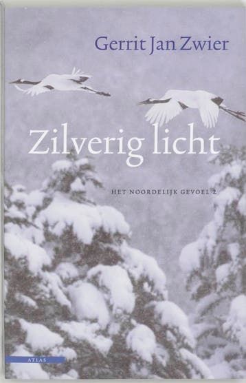 Zilverig licht - Gerrit Jan Zwier 9789045014418, Verzenden, Zo goed als nieuw, Gerrit Jan Zwier