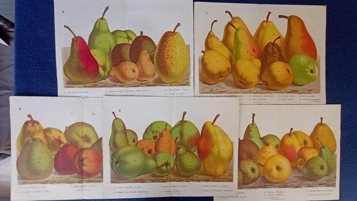 Louis van Houtte (Flore des Serres) - Complete Continuous, Antiek en Kunst, Antiek | Boeken en Bijbels