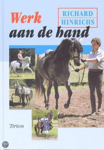 WERK AAN DE HAND - R. Hinrichs 9789052104157, Verzenden, Gelezen, R. Hinrichs