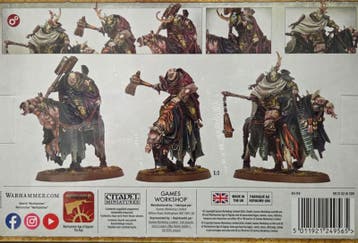 Maggotkin of Nurgle Sloven Knights (Warhammer Age of Sigmar, Hobby en Vrije tijd, Ophalen of Verzenden, Nieuw
