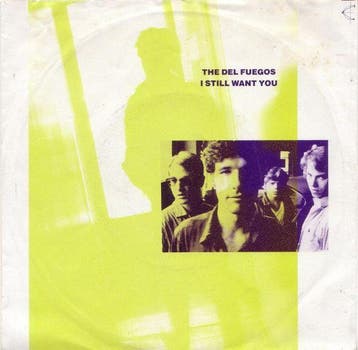 The Del Fuegos - I Still Want You, Ophalen of Verzenden, Gebruikt