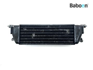 Oliekoeler BMW R 850 RT 2002-2006 (R850RT 02) (1341632), Verzenden, Gebruikt