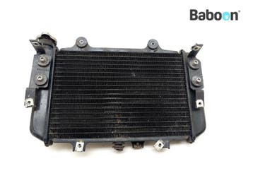 Radiateur BMW G 310 GS 2022-, Verzenden, Gebruikt