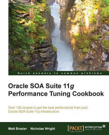 9781849688840 Oracle SOA Suite Performance Tuning Cookbook, Verzenden, Zo goed als nieuw, Matthew Brasier