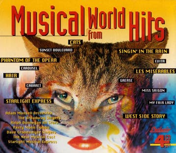 Various - Musical World Hits, Ophalen of Verzenden, Gebruikt