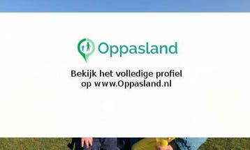 Michel zoekt een oppas in Den Haag voor 3 kinderen op maa...