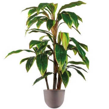 Cordyline kunstplant, H110cm, Ophalen of Verzenden, Overige soorten, 100 tot 150 cm