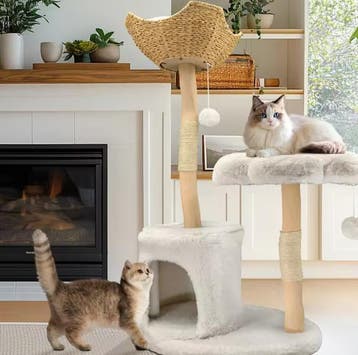 Houten Kattenboom – Moderne Kattentoren met Krabpaal en Mand, Dieren en Toebehoren, Verzenden, Nieuw
