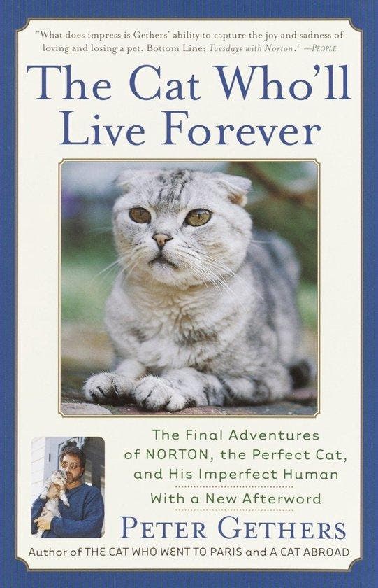 The Cat Wholl Live Forever 9780767909037 Peter Gethers, Boeken, Taal | Engels, Gelezen, Verzenden