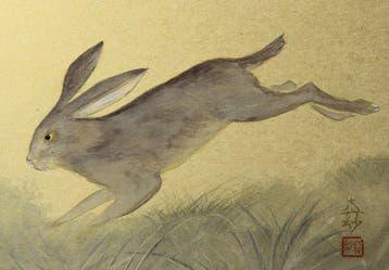 Rabbit Painting on Shikishi Board – Signed and Sealed - Masa