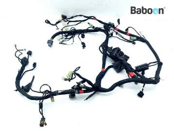 Kabelboom Ducati Monster 1200 S 2019, Verzenden, Gebruikt