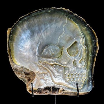 Snijwerk, NO RESERVE PRICE - Stunning Carved Mother of Pearl