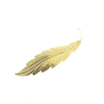 Gouden veer broche, Ophalen of Verzenden, Gebruikt, Goud, Goud