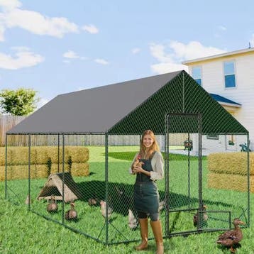 Grote Walk-in Kippenren met Nylon Net en UV Cover, Verzenden, Nieuw