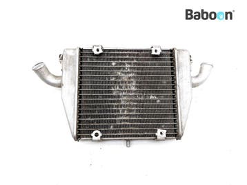 Radiateur MV Agusta F4 1000 R 2006-2007 Lower, Verzenden, Gebruikt