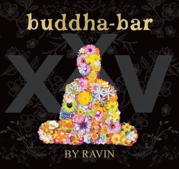 cd - various artists - BUDDHA BAR XXV (nieuw), Verzenden, Zo goed als nieuw