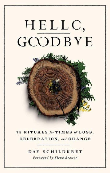 9781982170943 Hello, Goodbye Day Schildkret, Verzenden, Nieuw, Day Schildkret