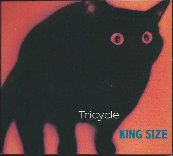 cd digi - Tricycle - King Size, Cd's en Dvd's, Cd's | Overige Cd's, Zo goed als nieuw, Verzenden