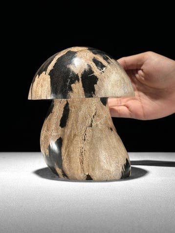 Handgesneden versteend hout paddenstoelen beeld -