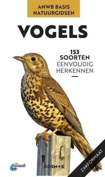 Vogels | Volker Dierschke | Nieuw, Ophalen of Verzenden, Nieuw, Volker Dierschke