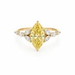 Zonder minimumprijs - Ring - 14 karaat Geel goud - 3.23ct., Nieuw
