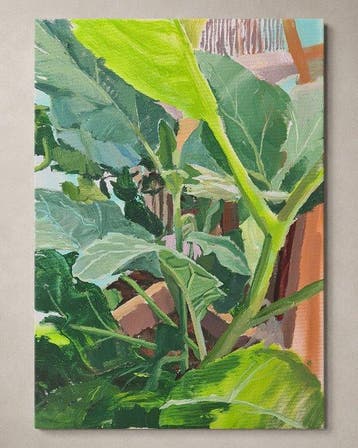 Della Goinne - Solanum Melongena - Wild Anatomy Series