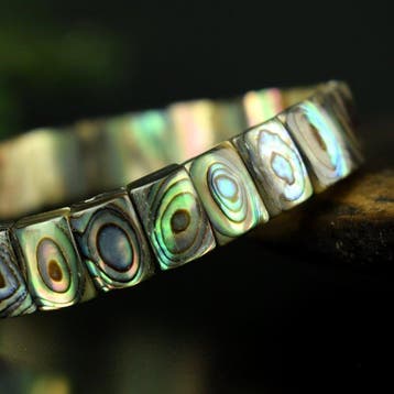 Abalone Paua uit Nieuw-Zeeland - hoge kwaliteit - Breedte: