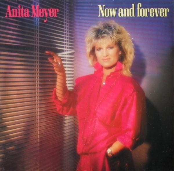 cd - Anita Meyer - Now And Forever, Cd's en Dvd's, Cd's | Overige Cd's, Zo goed als nieuw, Verzenden