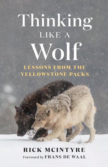 9781778403767 The Alpha Wolves of Yellowstone Series- Thi..., Verzenden, Nieuw, Rick Mcintyre