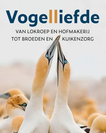 Vogelliefde (Nieuw), Boeken, Verzenden, Nieuw, Wenfei Tong