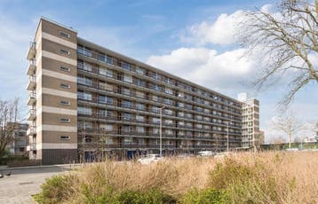 Te huur: Appartement Godijn van Dormaalstraat in Rotterdam, Appartement, Rotterdam, Zuid-Holland