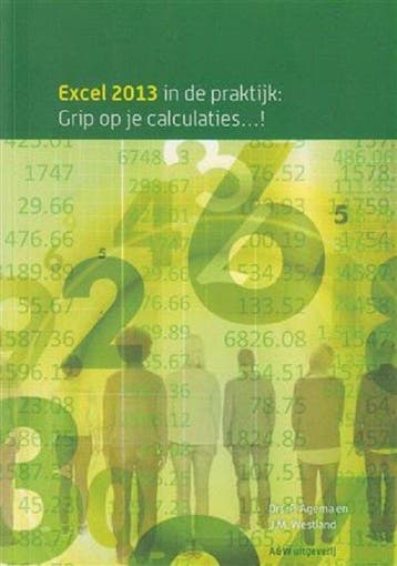 Excel 2013 in de praktijk grip op je calculati 9789490957063, Verzenden, Zo goed als nieuw