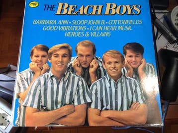 The Beach Boys - The Beach Boys, Ophalen of Verzenden, Gebruikt