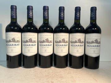 2023 Aguaribay Malbec Edmond de Rothschild - Uco Valley - 6, Nieuw
