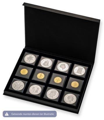 Luxe  bewaarcassette Munt Online (12 vaks), Verzenden