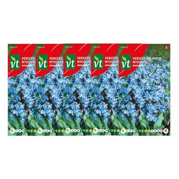 Bloemzaden vergeet-mij-nietje | VT | 5 stuks (Blauw), Verzenden