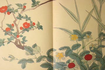 Tsukamoto Ytar / Sakai Hitsu - Shiki no Hana (Flowers of