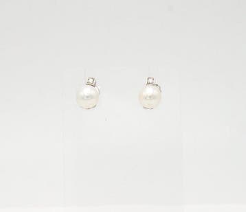 Oorbellen - 18 karaat Witgoud Diamant (Natuurlijk) - Parel, Sieraden, Tassen en Uiterlijk, Oorbellen, Nieuw