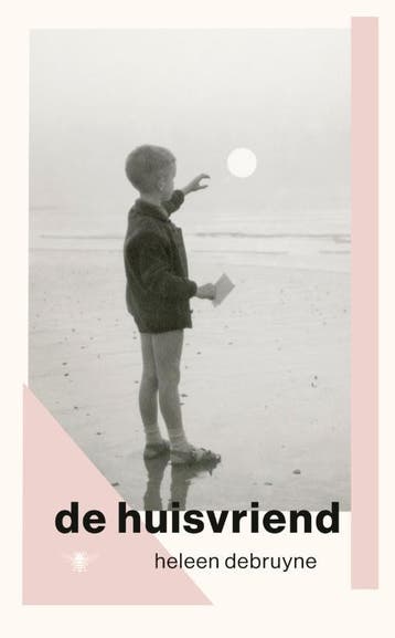 De Huisvriend | Heleen Debruyne | Nieuw, Ophalen of Verzenden, Nieuw, Heleen Debruyne